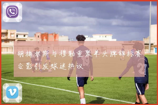 胡梅尔斯与穆勒重聚羊头牌锦标赛合影引发球迷热议
